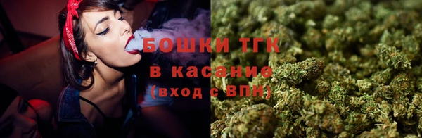 гидра Ладушкин