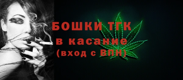 ECSTASY Липки