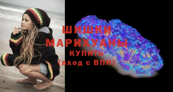 ПСИЛОЦИБИНОВЫЕ ГРИБЫ Лабытнанги